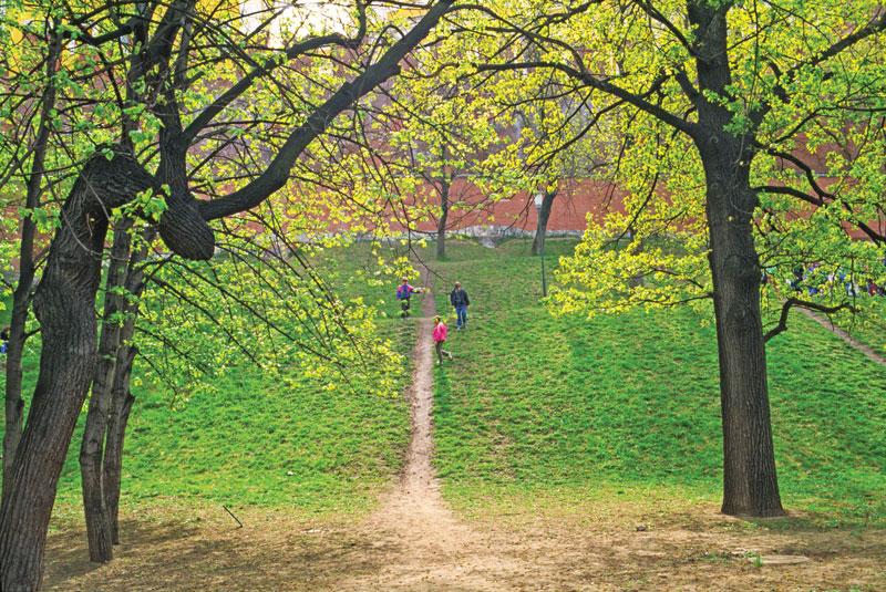 Moscow in Green
